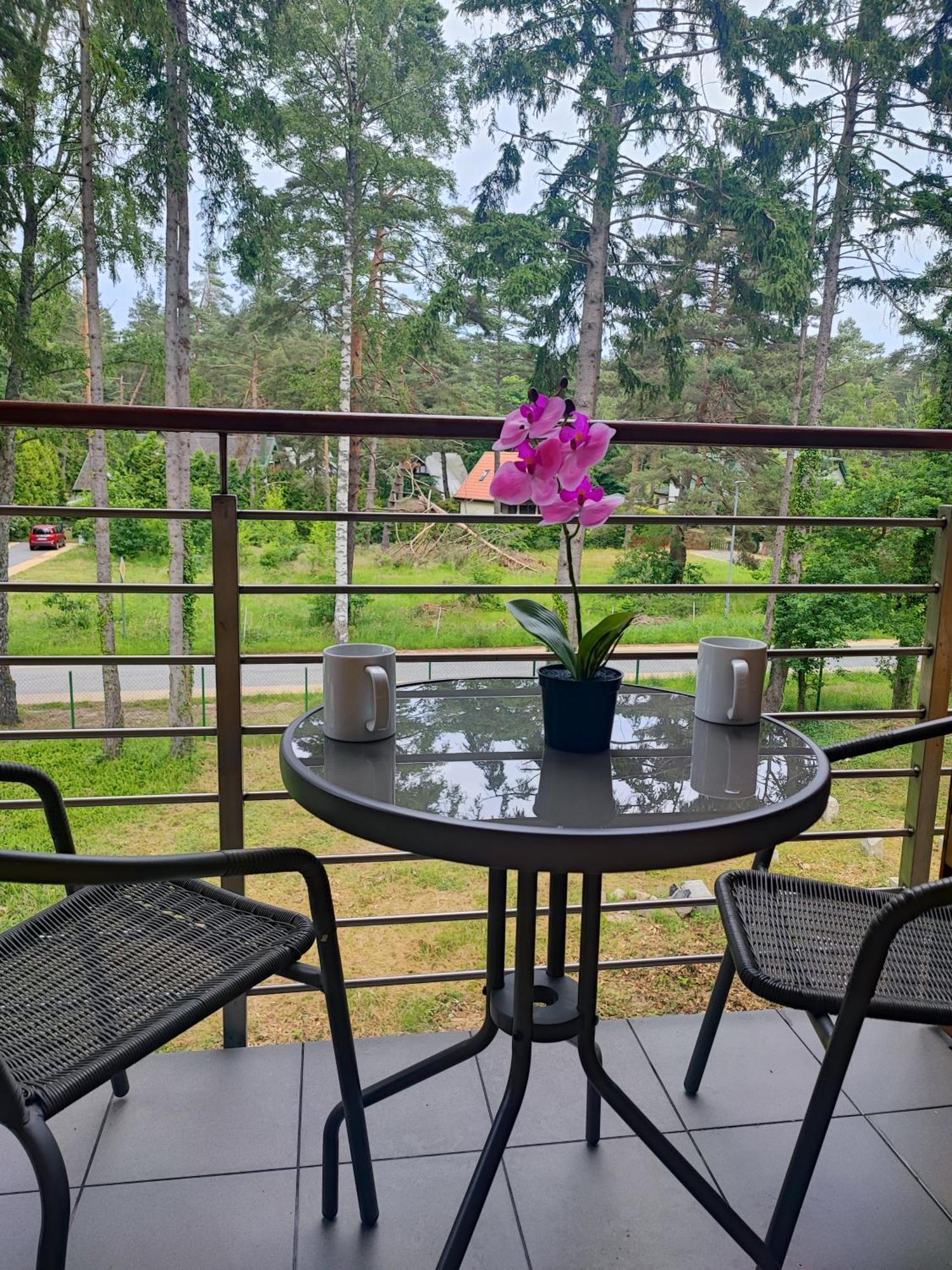 Apartamenty Poddabek- Basen Kryty, Sauna, Animacje Dla Dzieci , Malpi Gaj, Baseny Na Dachu Поддомб'є Екстер'єр фото